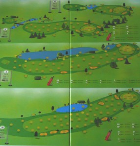 Das Mensch ärgere Dich nicht für Golfer: Gesellschaftsspiel super drive