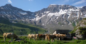 Pop-up-Golfplatz: 30 Tage Golfen auf der Engstligenalp in 2.000M ü. Meerespiegel