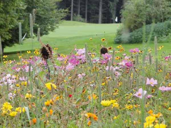 natur-golfen-fotocredit-green-magazin