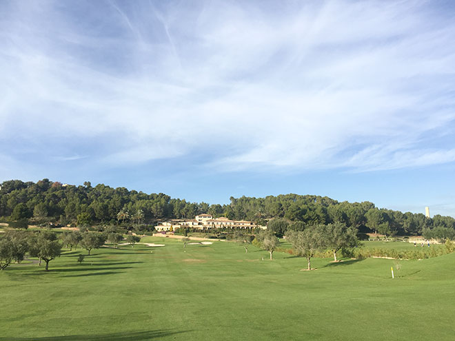 Ein Fairway hat je nach Klimazone unterschiedliche Grassorten