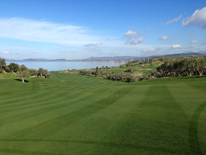 Auf dem Fairway ist die Pflege und Grassorte sehr wichtig.