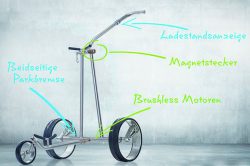 Rolls Royce unter den Golftrolleys: Dieser ist sogar eine Wertanlage