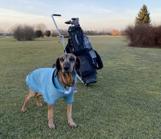 Nimmt nicht jeder gerne seinen Hund mit auf den Golfcourse :-)