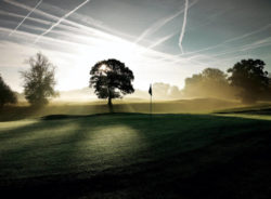 Drei Pioniere der Golfbranche über die Zukunft von Golf!