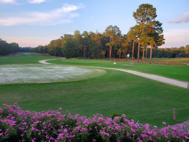 Angesagte Golfplätze USA: Pinehurst Country Club, North Carolina. Photo by Christine Jones on Unsplash