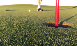 Was bedeutet eigentlich die Greenfee?