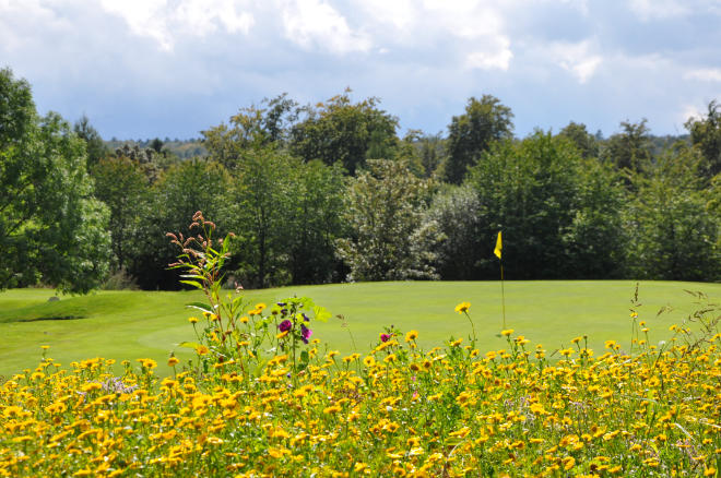 Naturschutz und Golfen