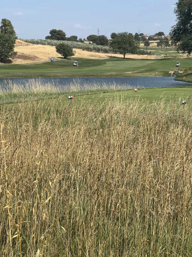 Das Foto entstand im Juni 2022. Durch die andauernde Hitze dürften auch dort die grünen Fairways gelitten haben. Fotocredit: Jürgen Mayer