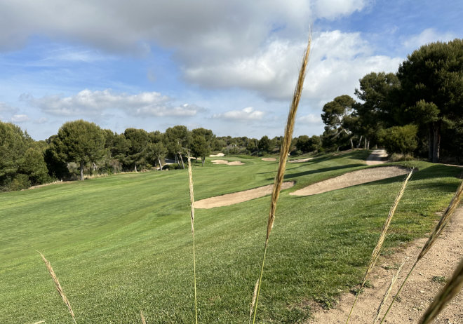 Viele Pinienbäume säumen die Fairways. Fotocredit: EG