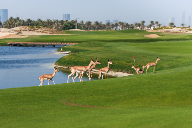 Golfsport und Klimaschutz