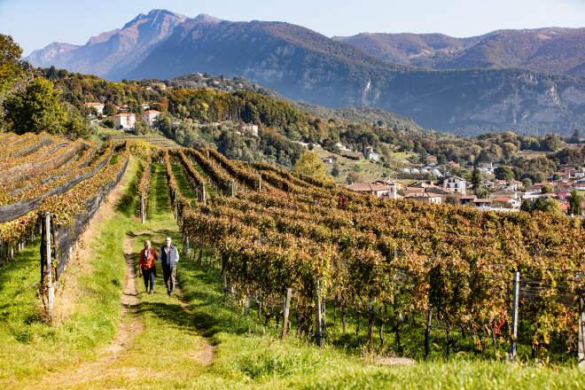 Golfurlaub Schweiz Tipp: Reiseroute durch Tessiner Weinberge. Fotocredit: Mendrisiotto Turismo, Fotograf Jacques Perler