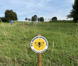 Nachhaltigkeit auf deutschen Golfplätzen: Was zählt wirklich?