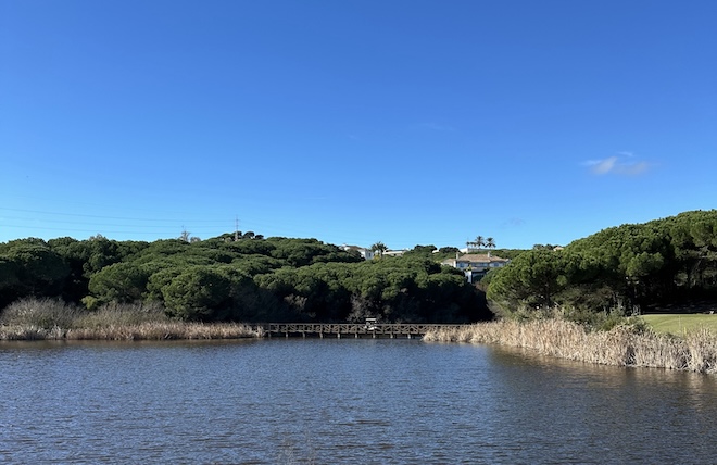 Für dieses Par3 nimmt man die Holzbrücke über den See. 